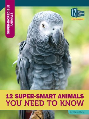 cover image of 12 Super-Smart Animals You Need to Know